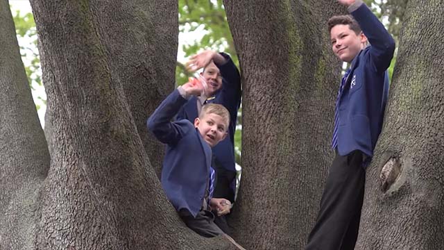 London Independent School Promotional
